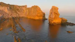 la arn&iacute;a dorada