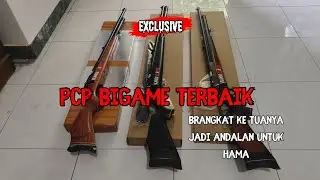 PCP BIGAME TERBAIK BLANGGOR PRO SUPERSONIX UNTUK HAMA BABI🇲🇨