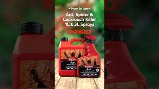 HOW TO USE RICHGRO ANT, SPIDER AND COCKROACH KILLER RTU  #gardeningtips #pestcontrol #gardenpests