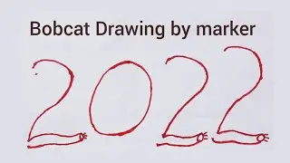 Bobcat drawing art from the figer 2022 | cat 3D Draw | Tiger 3D making with pencil pen | Gokand arts