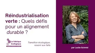 R&eacute;industrialisation verte : Quels d&eacute;fis pour un alignement durable ? par Lucile Schmid