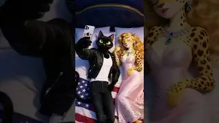 Plastic Sisters #aicat #cat #kitten #usa
