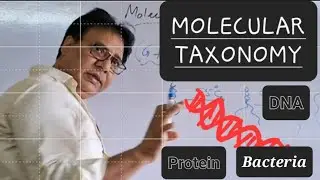 Molecular Taxonomy| Bacterial Identification