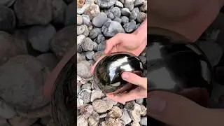 Fossil discovery 180 million years ago #shorts #fossils