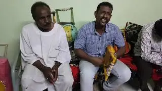|اغاني طمبور| النصري |✓ رفيق النسمة