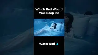 Which Bed Would You Sleep in？🛏️