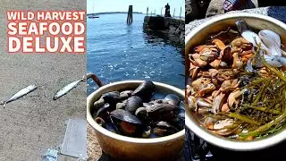 Wild harvest seafood deluxe