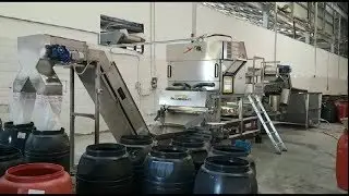 Spray: sorting solution for sulphitated cherries | RAYTEC VISION SpA