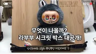 뿌잉뿌잉3편_라부부 시크릿박스 언박싱!!!