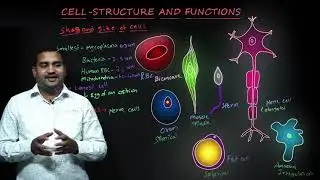 CBSE VIII BIOLOGY LESSON 08  CELL STRUCTURE AND FUNCTIONS SHAPE AND SIZE OF CELLS