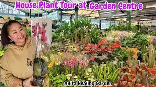 House Plant किन्ने सोचमा हुनुहुन्छ ?🍀यो Garden Centre को indoor plant हरु हेर्नआउनुहोस्