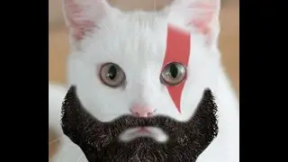 God of War Meme: Kratos Cat 2