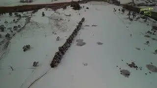 Armidale Snow (Day 2) Drone Footage 3 August 2025