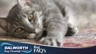Rug Repair Experts in the DFW Metroplex Area