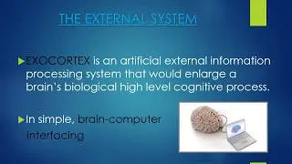 EXOCORTEX