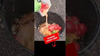 MIT SICHEREM KOMPOSTER zu einem GR&Uuml;NEN PARADIES! 🌱🏡
