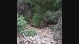 Rains, hail move through Santa Fe