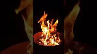 🔥1 Minute of a Cozy Crackling Campfire #mindfulmeditations #relax #sleepsounds #mindfulness #fire