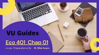 ECO 401 CHAP 01 VU guides