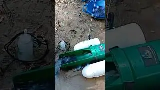 #Short - GoldiBox Dredge