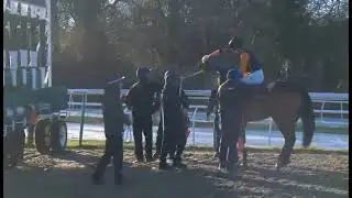 R4 @1330 Lingfield-UK-31 DEC 2025
