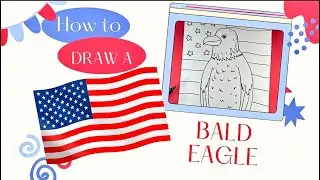 How to Draw a Bald Eagle for Kids