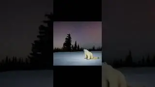 #мем из 2026 года 🐻#анимация#лего#рекомендации#Among Us#