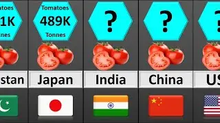 Top 40 countries in the world most tomatoes supplier countries production in million tonnes tomatoes