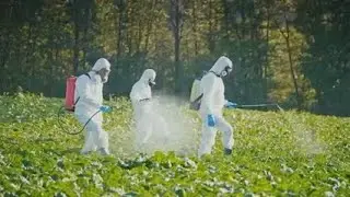 Government on high alert as deadly bird flu jumps species AGAIN - after first human death in US