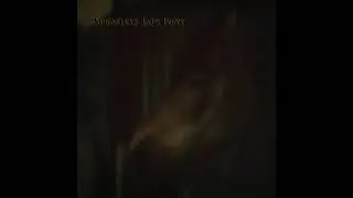 Spratleys Japs - Fanny
