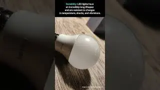 How does an LED Bulb work?