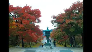 BlueMaze- The Theme of Nature