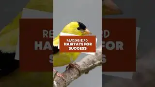 Reading Bird Habitats for Success #shorts