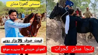 Gujrat Horse Mandi 🎠/   Kunjah Mandi 🏇 /   New up date 2024.  ||  🔥 Mr Mukhroo 🔥
