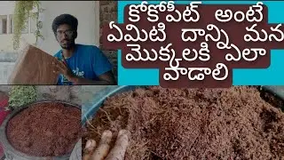 how to use cocopeat in our garden/cocopeat benifits in Telugu//కోకోపీట్ ఉపయోగాలు