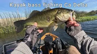 Lost Tape from summer on the  Delta (Kayak Bass Fishing the California Delta)