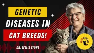 Genetic diseases in specific cat breeds with Dr. Leslie Lyons - Purr Podcast Episode 220