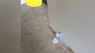 The most epic bottle flip ever slow mo version