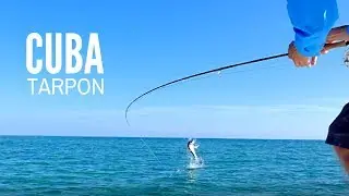Fly Fishing Cuba for Tarpon