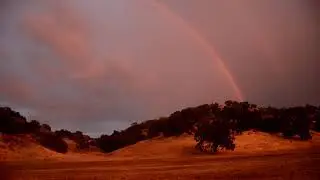 Rainbows and Raindrops!