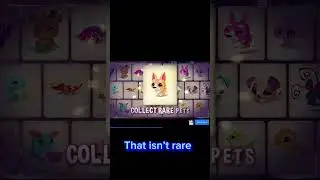 How to earn pet tokens from minigames! #animaljam