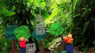 Le dendrolague dor&eacute; : esp&egrave;ce menac&eacute;e