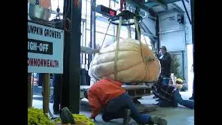 Christy Harp - 2009 World Record Pumpkin