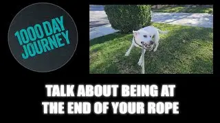 1000 Day Journey 0905 Talk About Being at the End of Your Rope