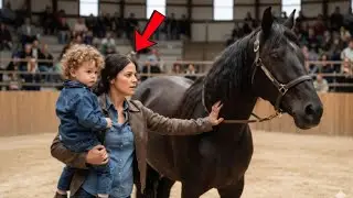 THE BOY ASKED FOR THE HORSE AT THE AUCTION &mdash; HIS DECISION LEFT EVERYONE IN SILENCE!
