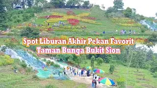 Weekend Healing di Taman Bunga Bukit Sion #tamanbungabukitsion #tamanbungacelosia #bukitsion