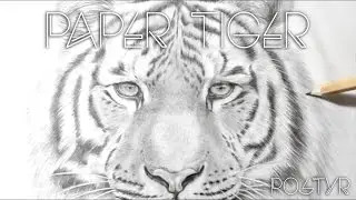 POSTYR - Paper Tiger (Official Video)