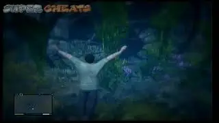 GTA5 Hidden Package 8 - Hidden Package #8