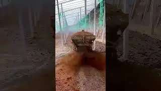 Orchard fertilization process - good machinery and tools can improve work efficiency