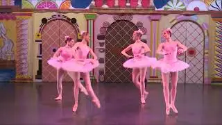 An excerpt from NBS' The Nutcracker 2017